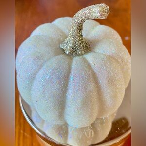 Bath & Body Works GLITTER PUMPKIN Candle Lid Magnet Topper Decor Gift
